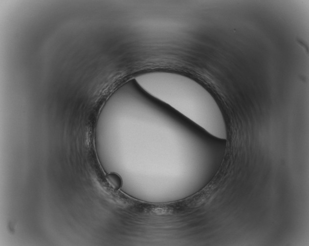 X0000100380546200806060828