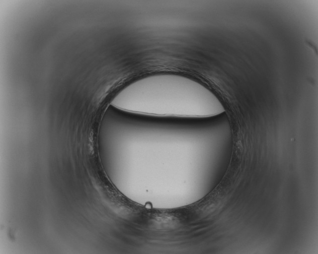 X0000100380547200806060828