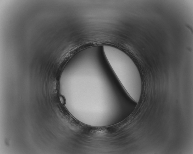 X0000100380548200806060829