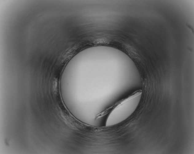X0000100380550200806060829