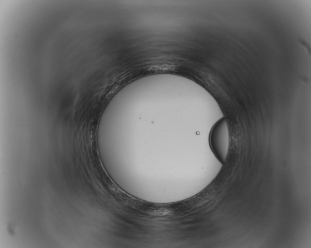 X0000100380551200806060829