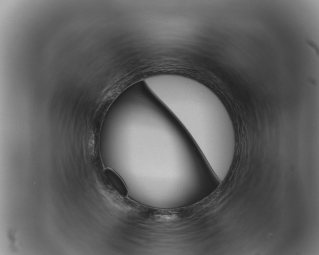 X0000100380552200806060829