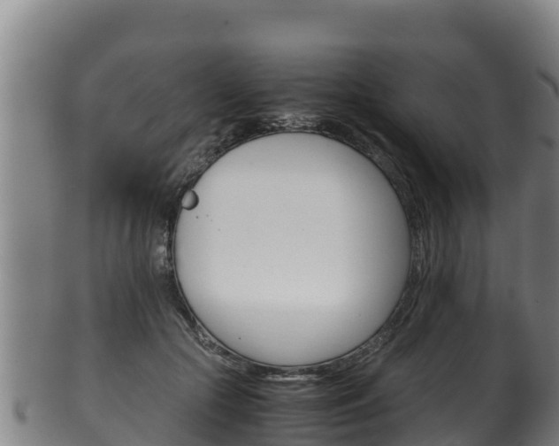 X0000100380553200806060829