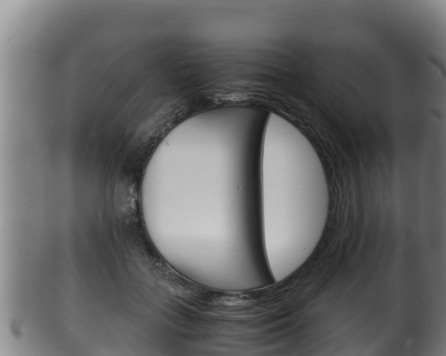 X0000100380555200806060829