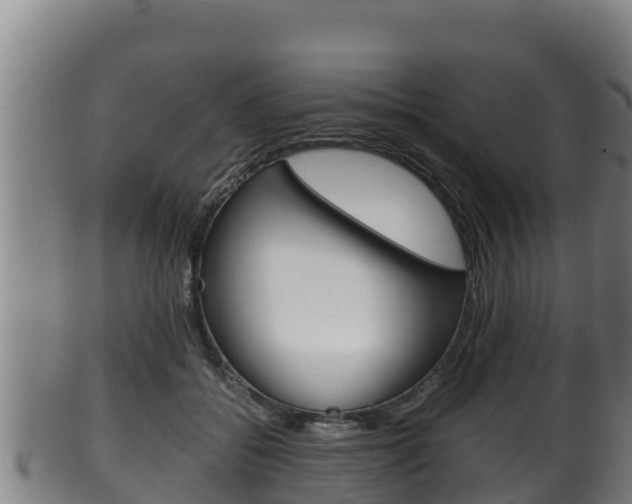 X0000100380556200806060829