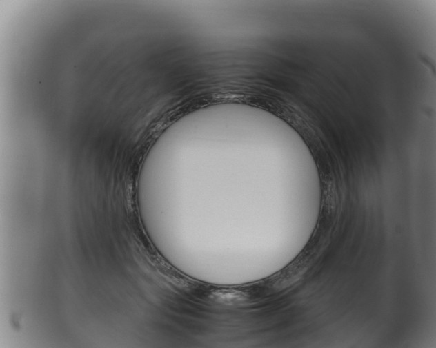 X0000100380557200806060829