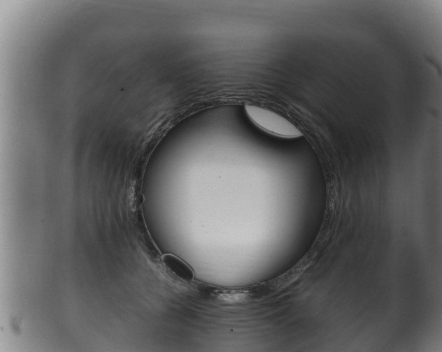X0000100380560200806060829