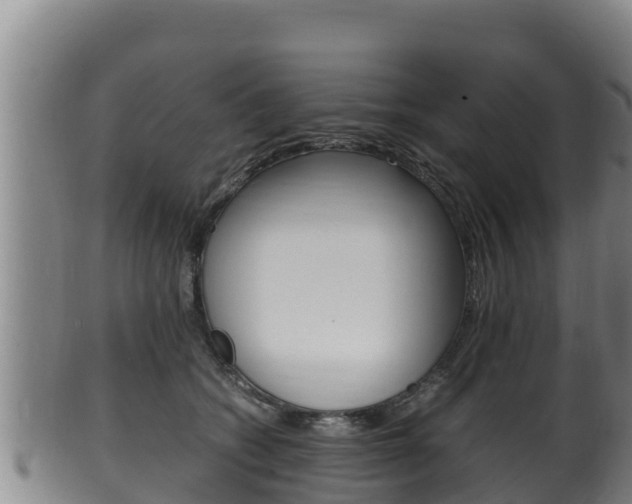 X0000100380562200806060829