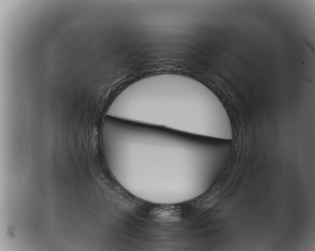 X0000100380563200806060829
