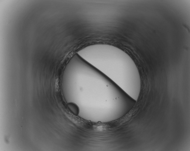 X0000100380564200806060829