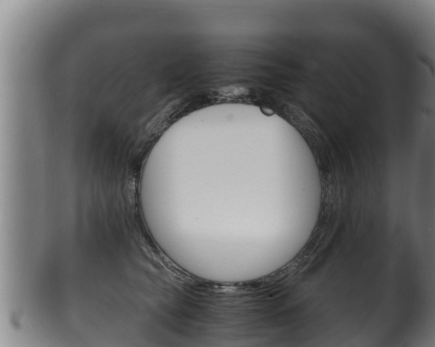 X0000100380565200806060829