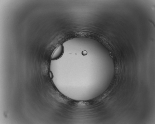 X0000100380566200806060829