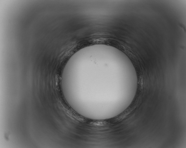 X0000100380567200806060829