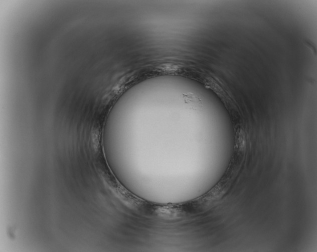 X0000100380568200806060829