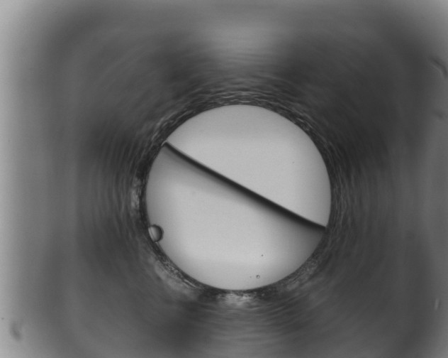 X0000100380570200806060829