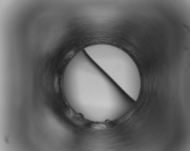 X0000100380572200806060829