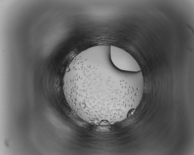 X0000100380573200806060829