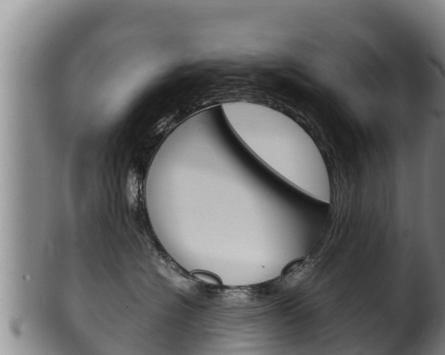 X0000100380574200806060829