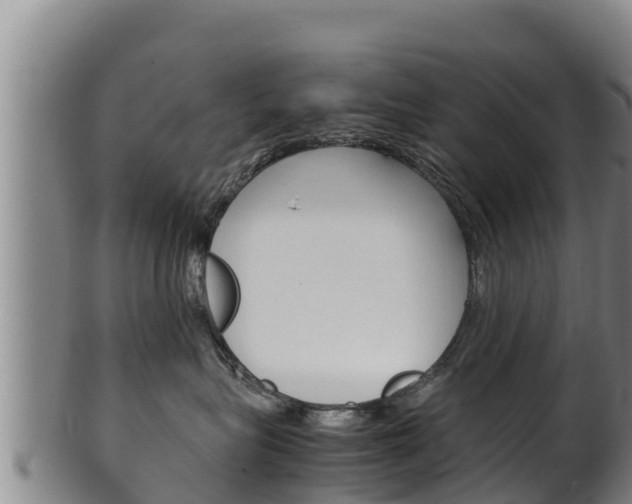 X0000100380575200806060829