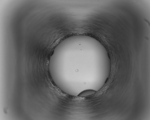 X0000100380576200806060829