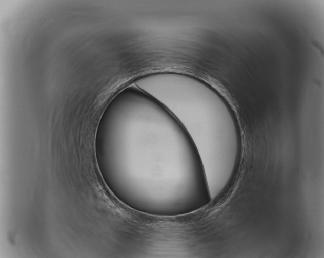 X0000100380577200806060828