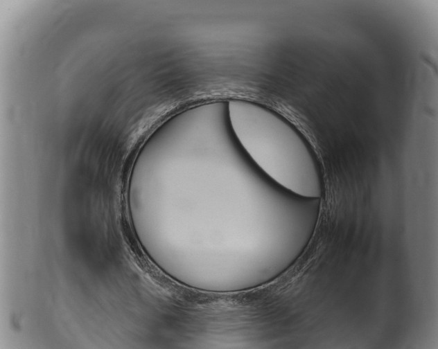 X0000100380578200806060828
