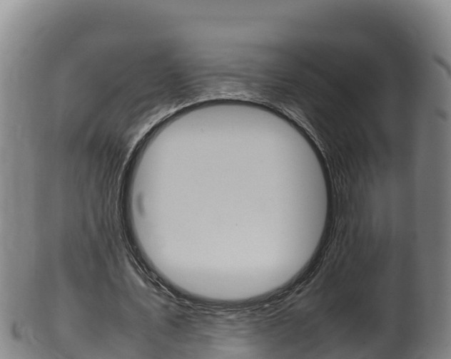 X0000100380579200806060828