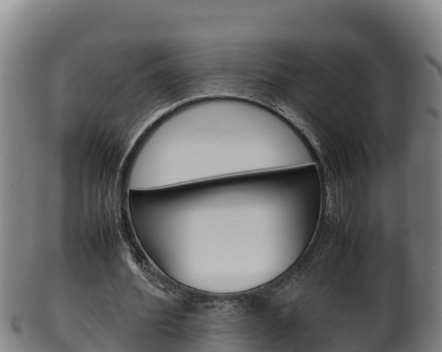 X0000100380580200806060828