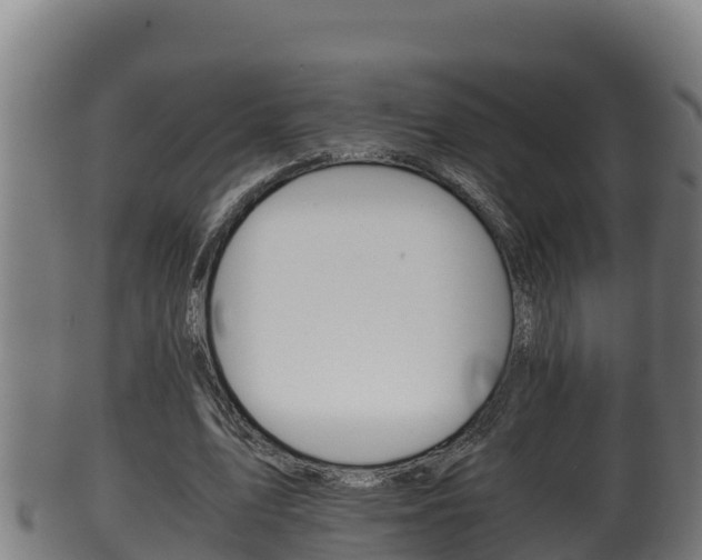 X0000100380583200806060828