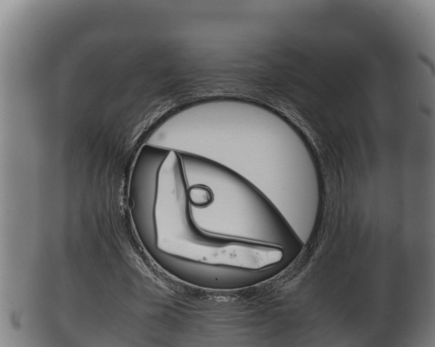 X0000100380585200806060828