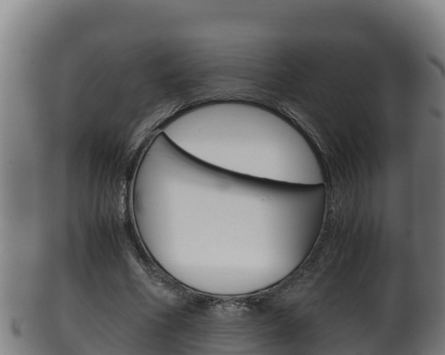 X0000100380586200806060828
