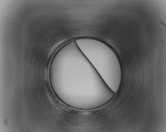 X0000100380587200806060828