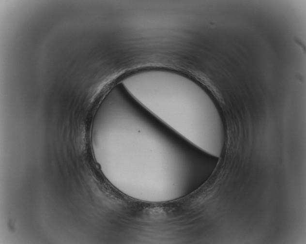 X0000100380588200806060828