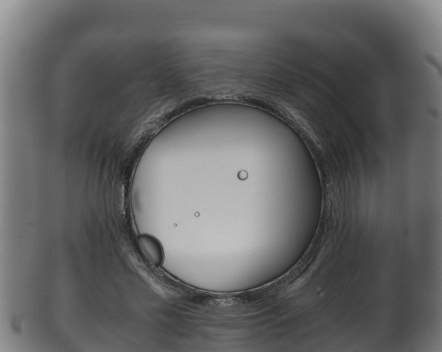X0000100380589200806060828