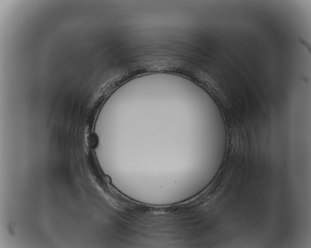 X0000100380590200806060828
