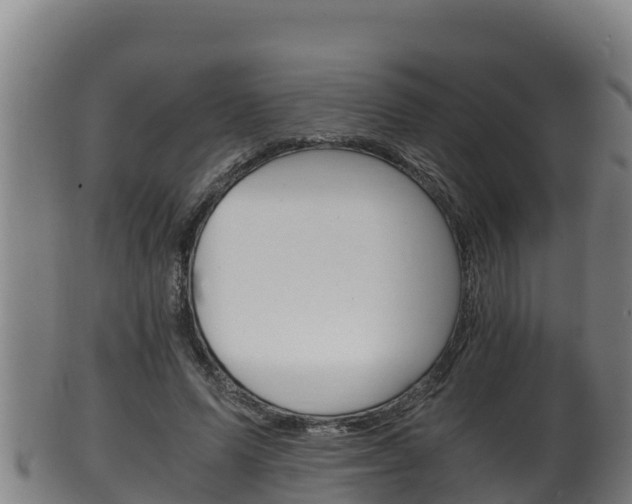 X0000100380591200806060828