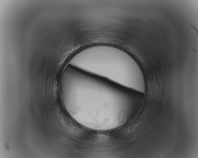 X0000100380592200806060828