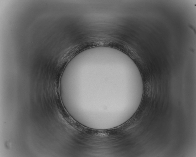 X0000100380594200806060828