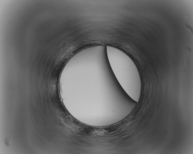 X0000100380595200806060828