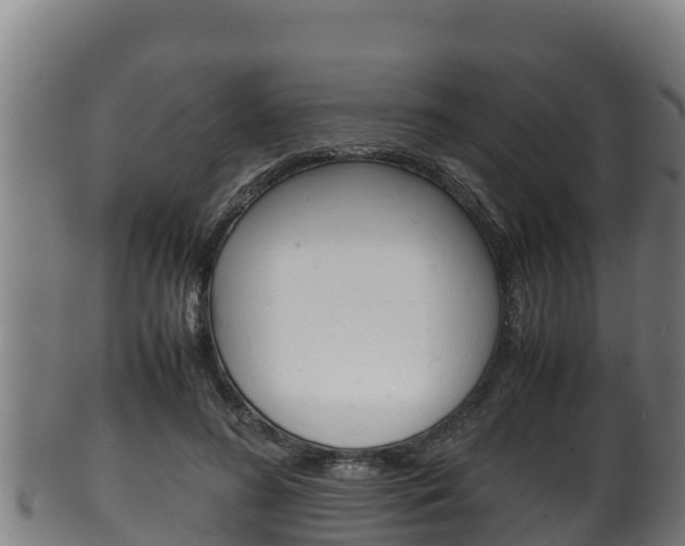 X0000100380596200806060828