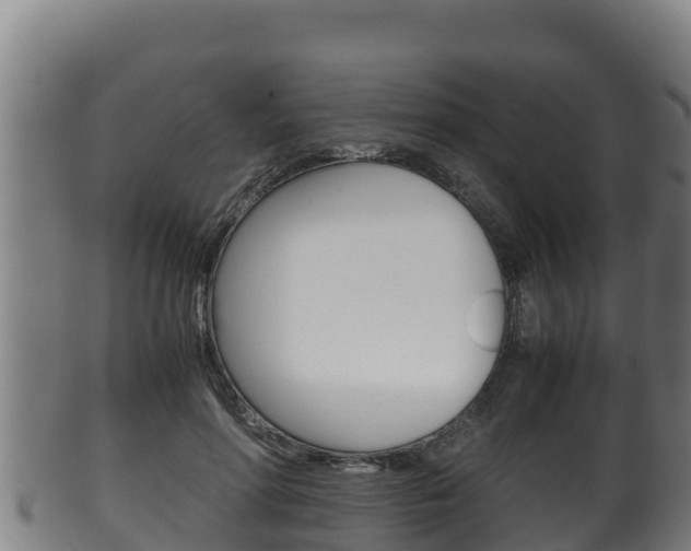 X0000100380598200806060828