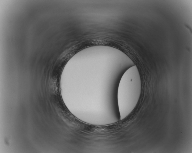 X0000100380599200806060828