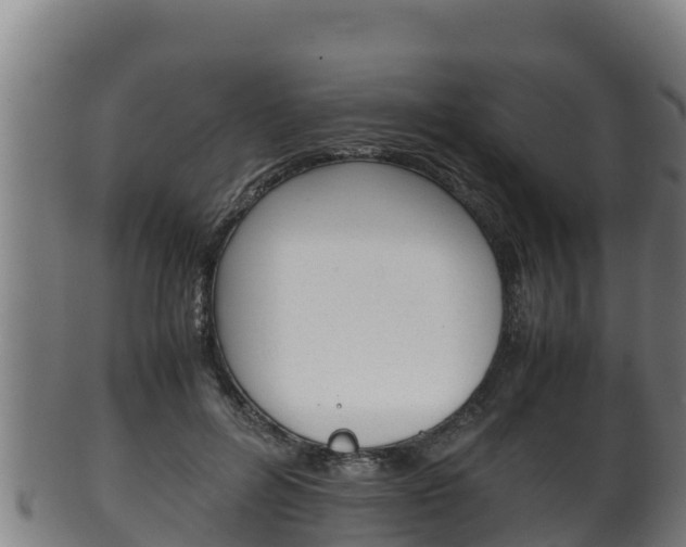 X0000100380600200806060828