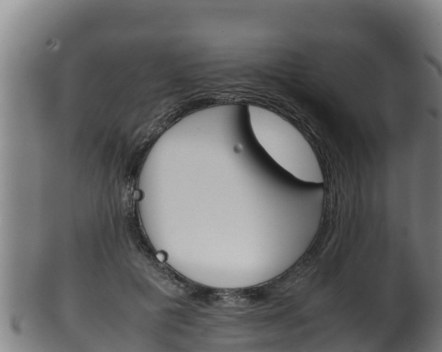 X0000100380601200806060828