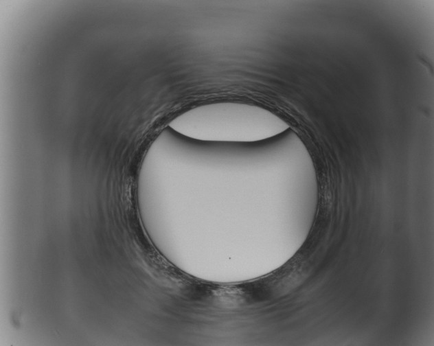 X0000100380603200806060828