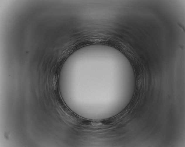 X0000100380605200806060828