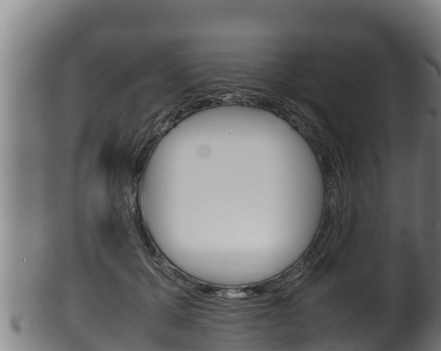 X0000100380607200806060828