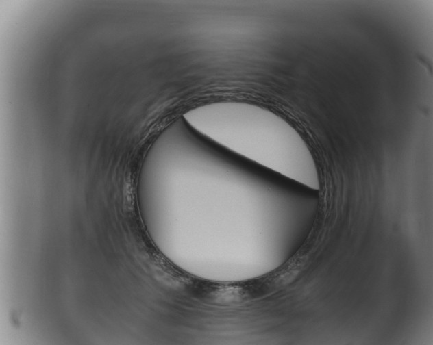 X0000100380609200806060828