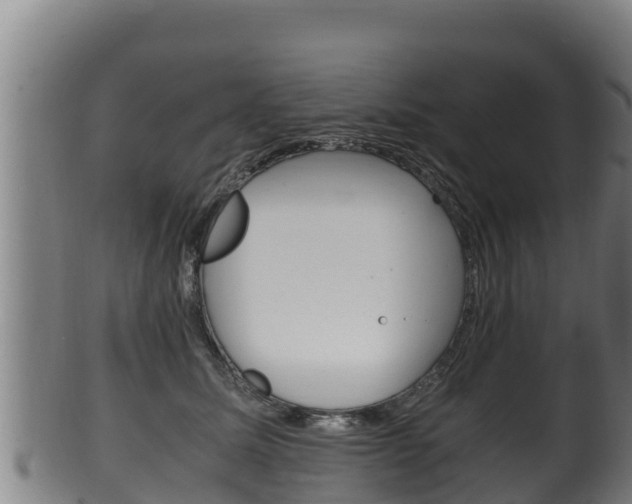 X0000100380611200806060828