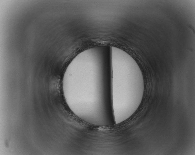 X0000100380612200806060828